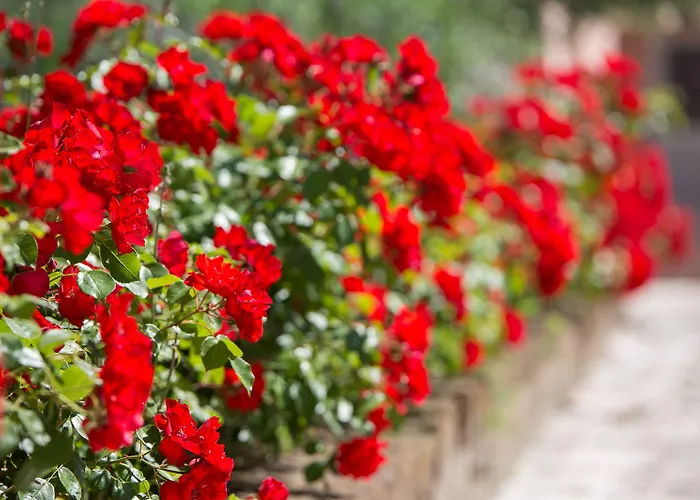 Ca Masawalsa 3* Μπαρντολίνο